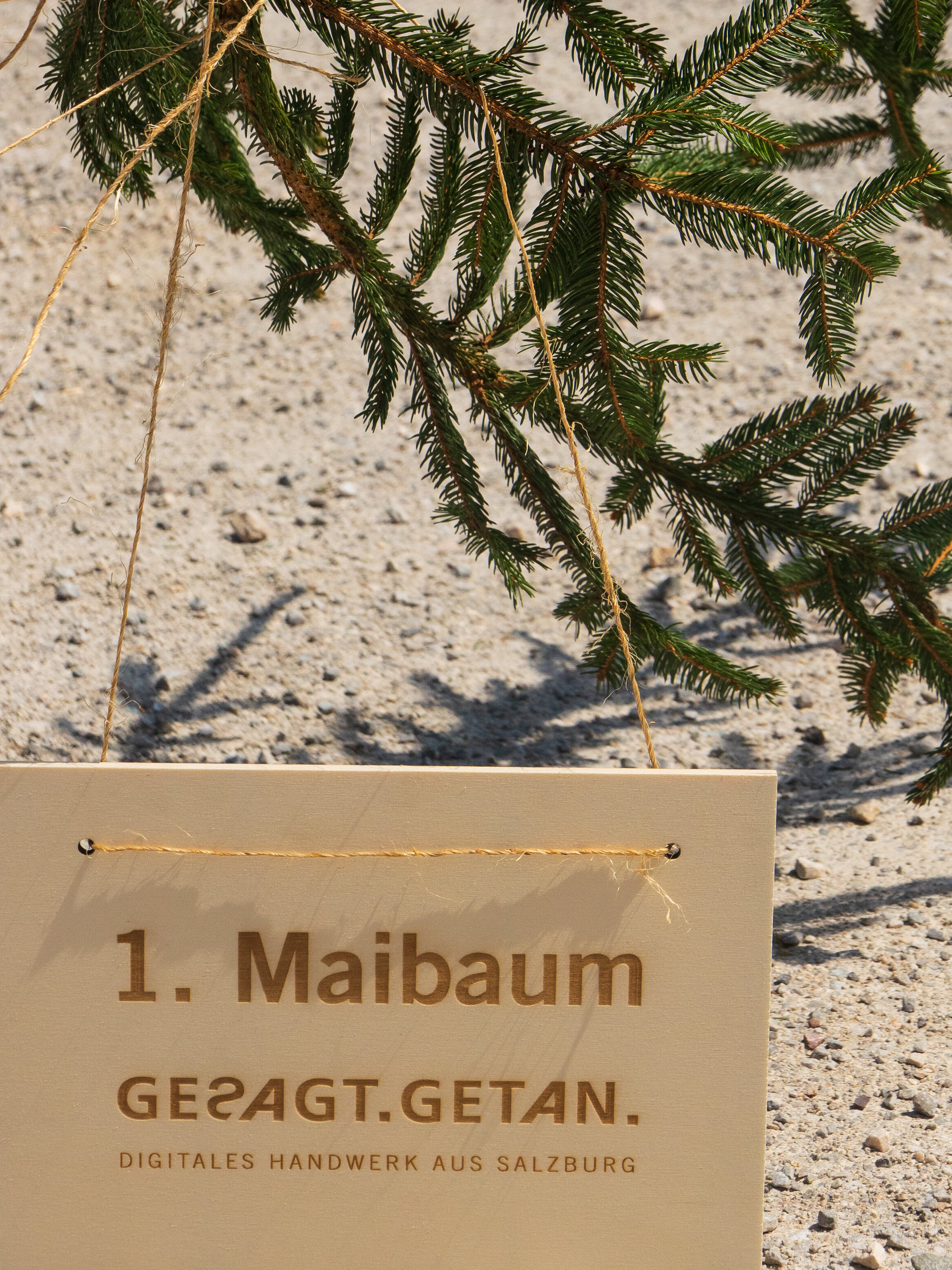 Holzschild mit der Aufschrift '1. Maibaum – GESAGT.GETAN. Digitales Handwerk aus Salzburg' hängt unter einem Fichtenzweig.